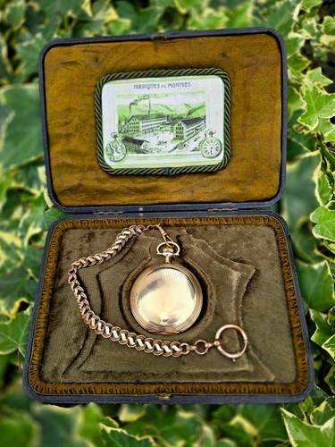 Seltenes fabriques montres - seltenes,