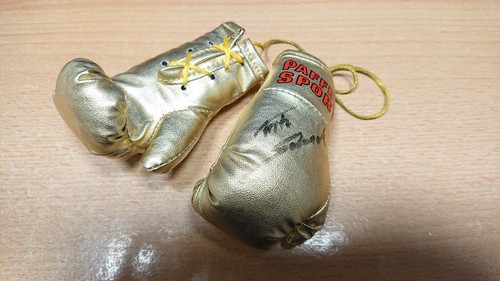 Autospiegel mini boxhandschuhe - autospiegel,