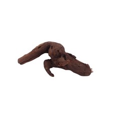 M Driftwood Flußwurzel