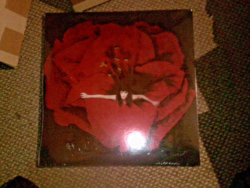 The smashing pumpkins adore - pumpkins,