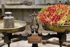 1 Kilo 🔝 lebendes Sphagnum