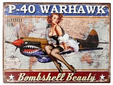Blechschild Bombshell Warhawk