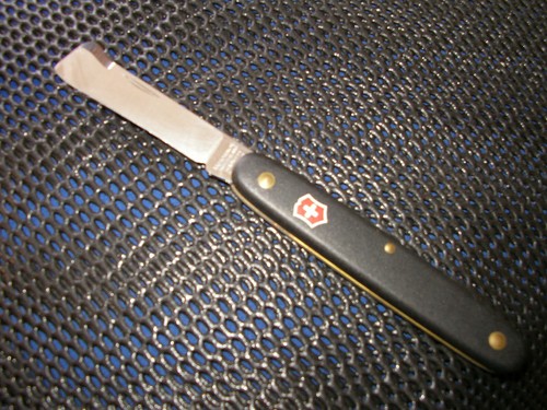 Victorinox hippe - ,