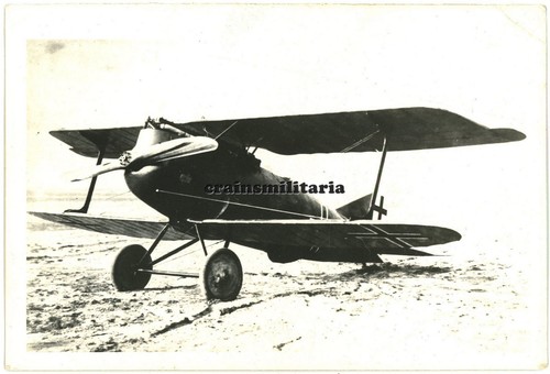 Archiv foto flugzeug rumpler - foto,