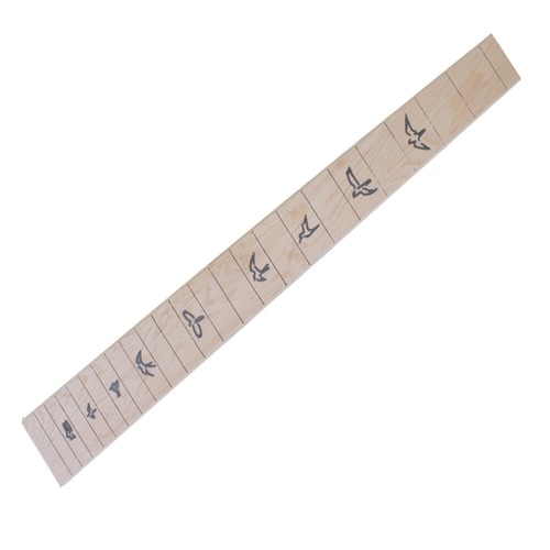Electric guitar fretboard - electric,