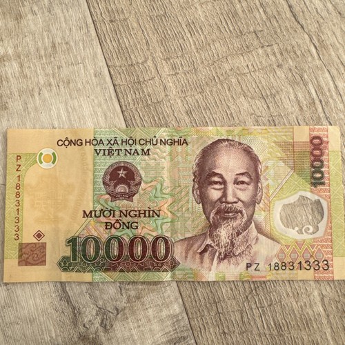 000 dong vietnamesische - dong,