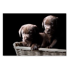 Postereck 0209 Poster Leinwand