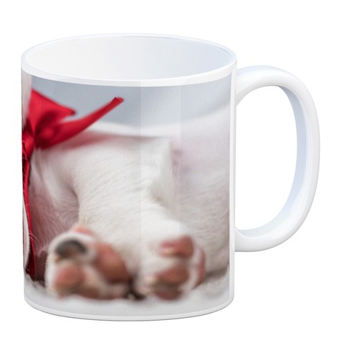 Weihnachtshund jack mit - jack,