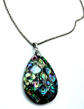 Großer Abalone Muschel