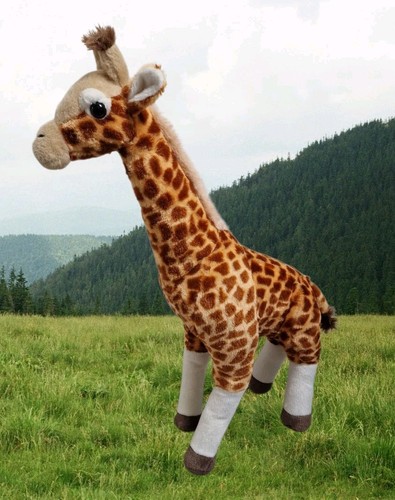 Große plüsch giraffe cm - große, 60
