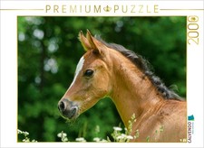 Calvendo puzzle arabisches - calvendo,