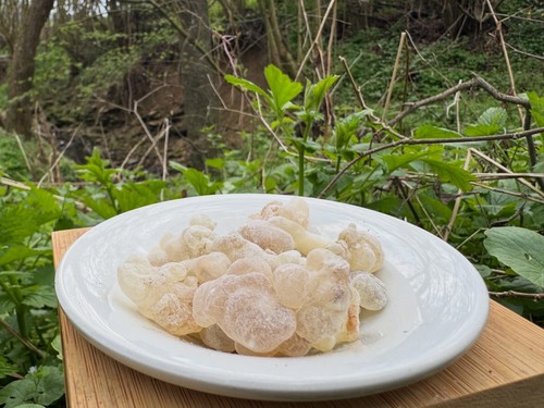 Oman weihrauch frankincense - weihrauch,,