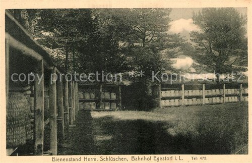 Egestorf deister bienenstand - egestorf,