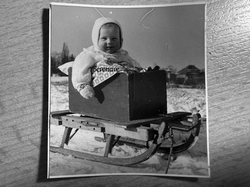 Foto kind 1956 auf schlitten - kind,