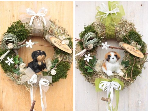 Türkranz hund natur frühling - türkranz,