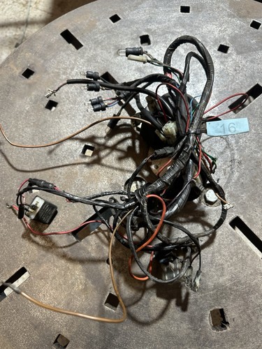 Etz saxon main wiring loom - etz,
