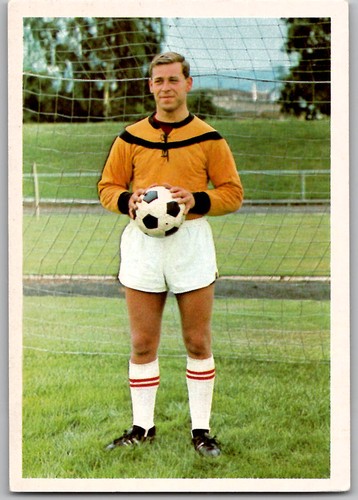 Werner pfeifer borussia - werner,