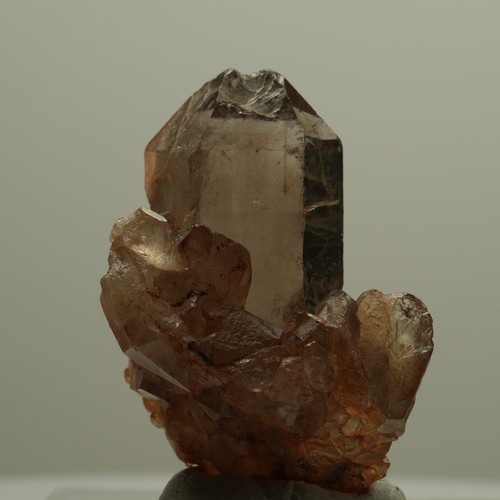 Seltene phantom rauchquarz - seltene,
