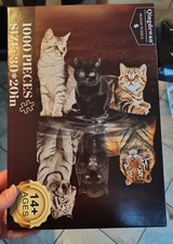 Katzen Katze Raubkatze Tiger
