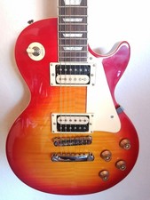 Sehr  schöne Les Paul Style E