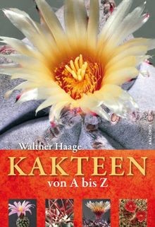 Kakteen von bis - kakteen,