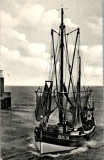büsum, krabbenfischer