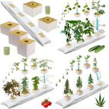 Steinwolle Pflanzen Zucht Set Cannabis Gurke Tomate Marijuana züchten Komplett