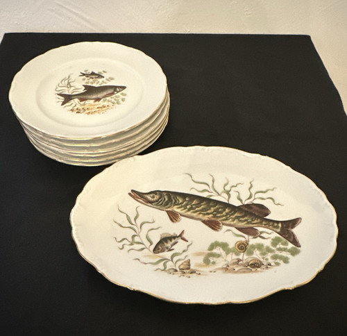 Fisch geschirr winterling - fisch, geschirr,