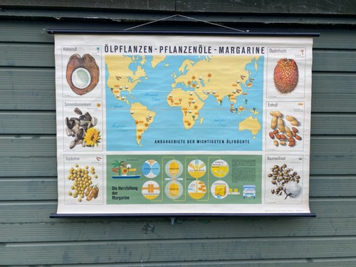 Schulkarte weltkarte der - schulkarte,