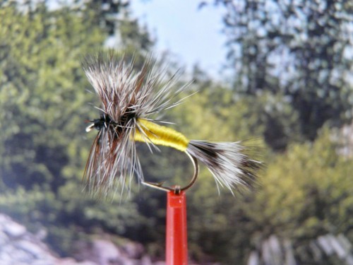 Trockenfliege grizzly wulff - ",
