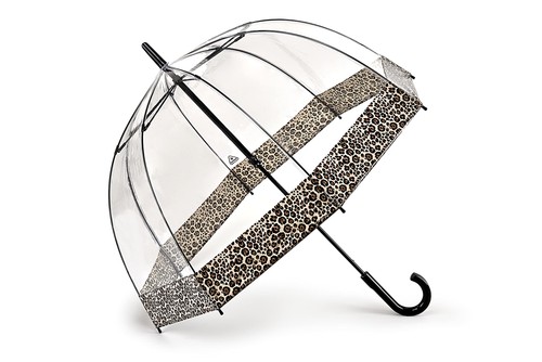 Fulton birdcage puma border - birdcage, 2