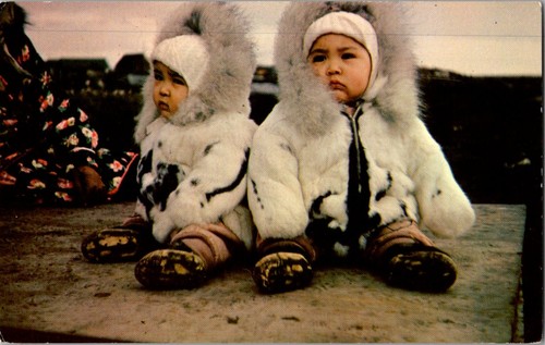 Vintage postcard eskimo twins - postcard,