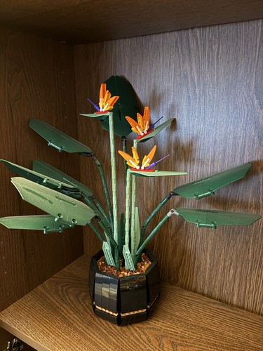 Lego botanicals - lego,