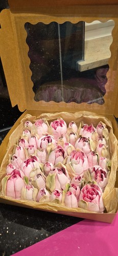 Geschenkidee zefir - geschenkidee,