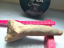 Tropfstein Stalagmit ,Fränk