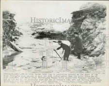 1956 Press Photo German lads