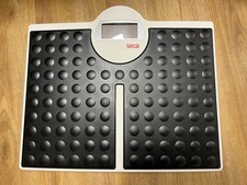 Seca Robusta 813 digitale