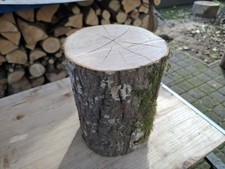 DEKO Baumstamm Holz Klotz ESCHE Natur Höhe 27 cm Durchmesser 20 cm Baumscheibe
