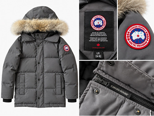 Canada goose arctic - canada, program