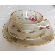 Sammeltasse (Schwarzenhammer Bavaria) Porzellan 3-teilig mit Blumenmotiv