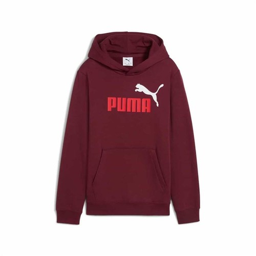 Sweatshirt mit kapuze - mit,