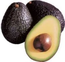 Avocado Hass - Persea