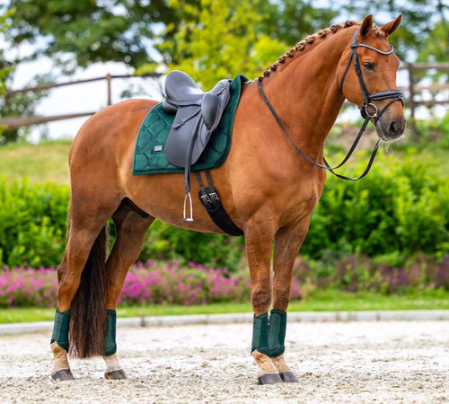 Equestrian stockholm green - equestrian,