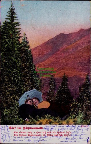 195468 tief böhmerwald - im,