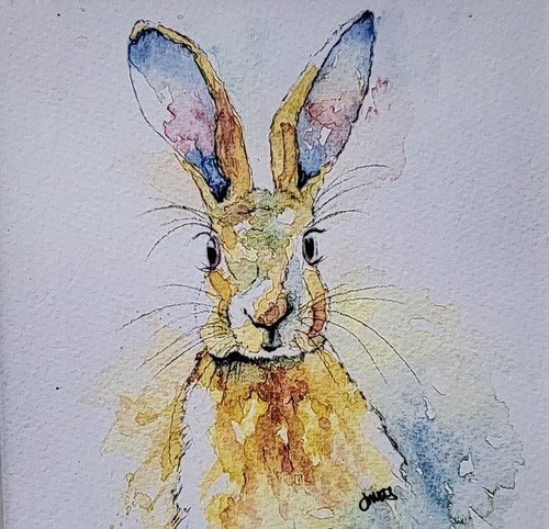 Hase druck auf - hase, leinwand