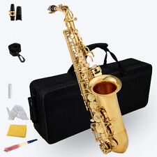 Alt Saxophon Sax Saxofon Leicht Case Koffer Mundstück Blättchen klar lackiert