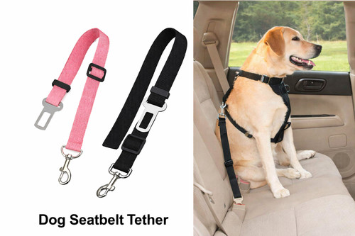 Hunde sicherheitsgurt - hunde,