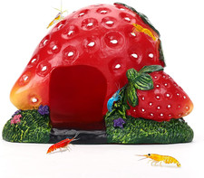 Strawberry Aquarium Decoration