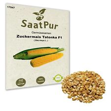 Zuckermais Tatonka F1 Samen Saatgut Gärtnerqualität Blitzversand Kukuruz Mais