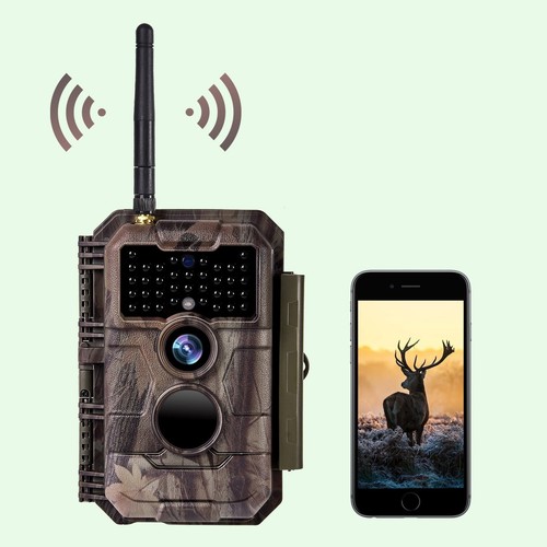 Blazevideo w600 64mp 1296p - 64mp,
